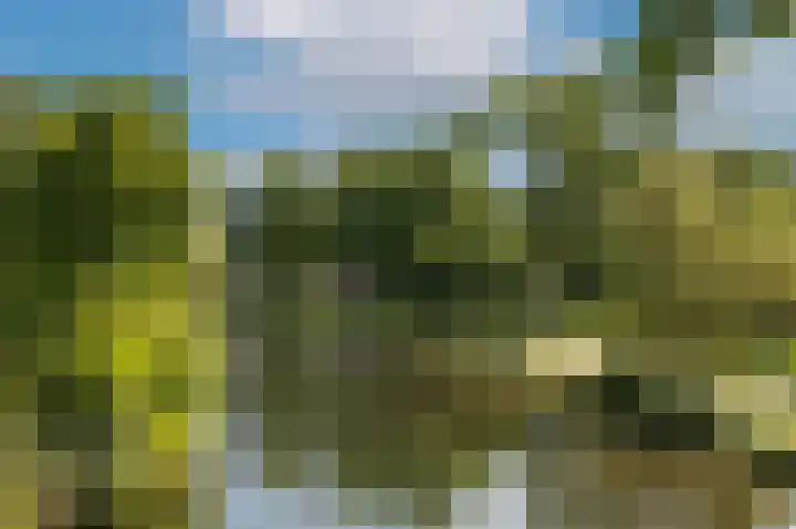 Eusebiusbuitensingel 20 24 Arnhem thumbnail 26
