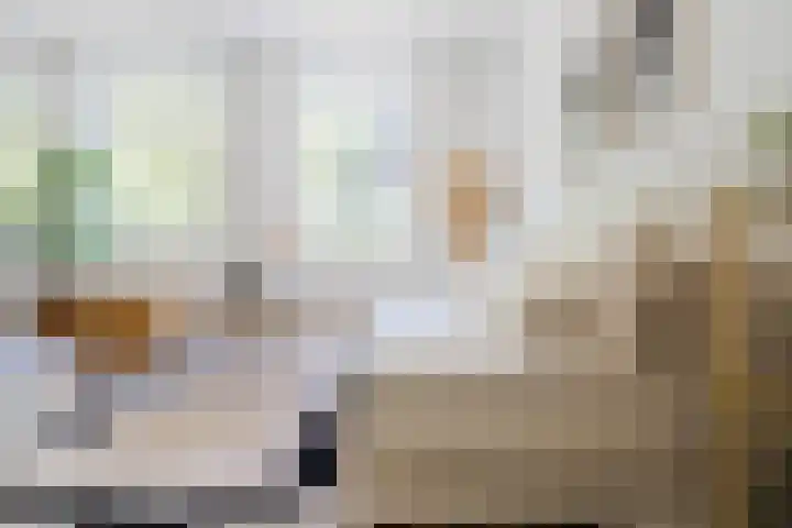 Eusebiusbuitensingel 20 4 Arnhem thumbnail 17