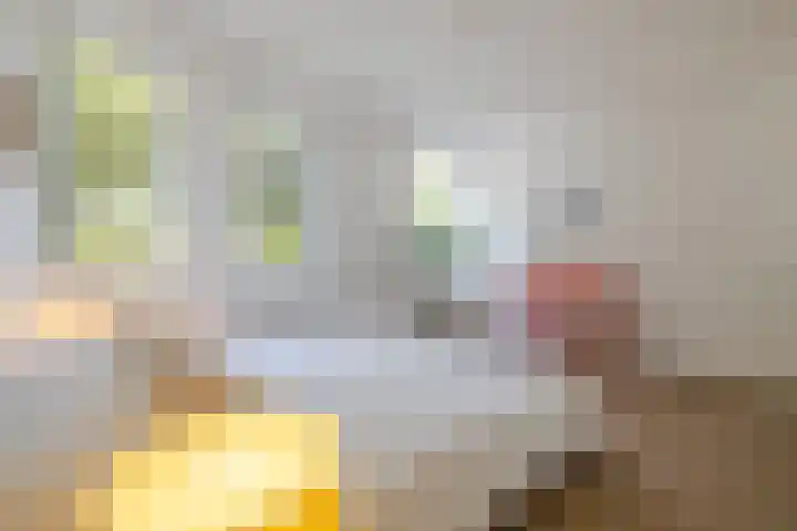 Eusebiusbuitensingel 20 4 Arnhem thumbnail 21