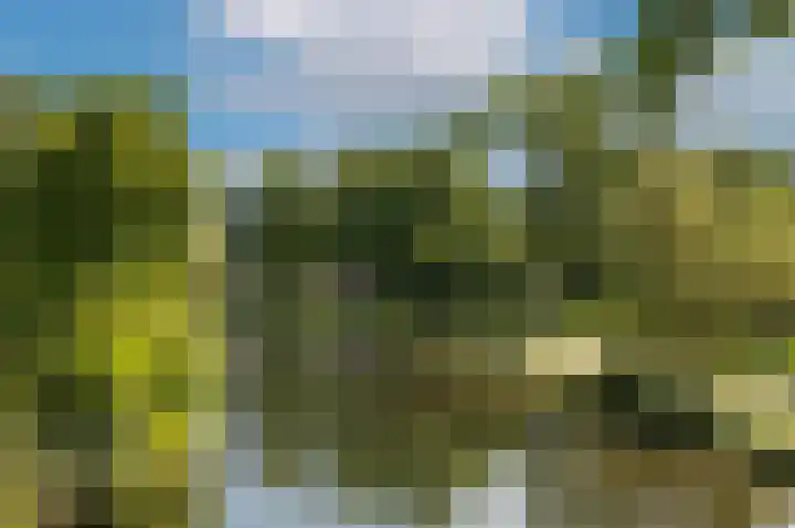 Eusebiusbuitensingel 20 4 Arnhem thumbnail 33