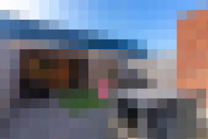 Eusebiusplein 15 Arnhem thumbnail 23