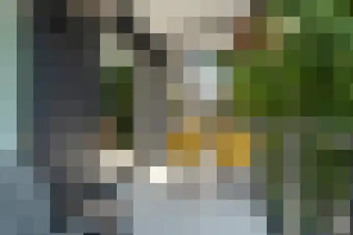 Eusebiusplein 41 Arnhem thumbnail 22