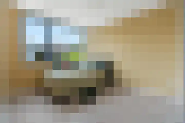 Eusebiusplein 41 Arnhem thumbnail 37