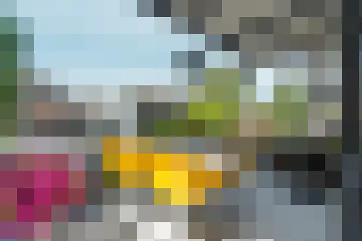 Eusebiusplein 41 Arnhem thumbnail 4