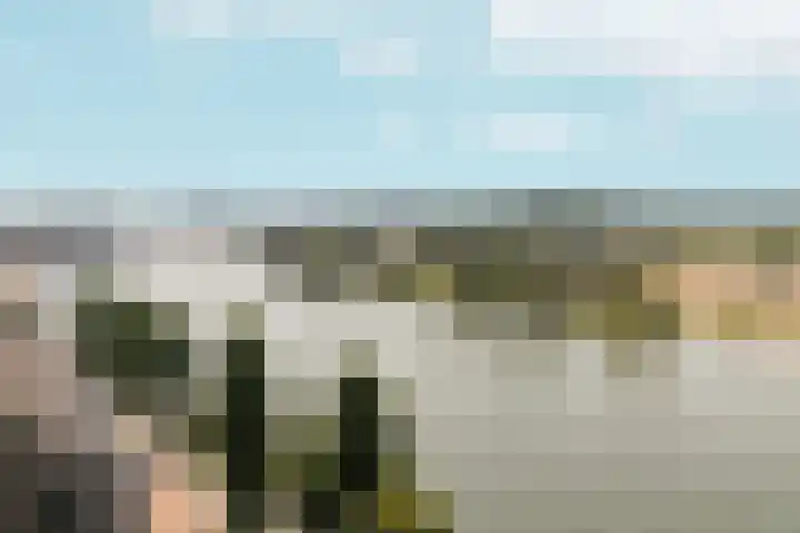 Eusebiusplein 41 Arnhem thumbnail 48