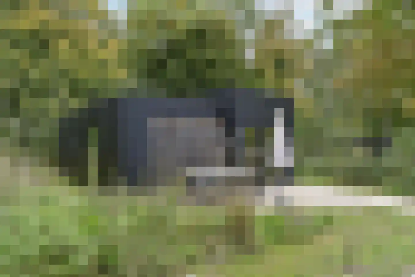 Euverem 52 52 Gulpen thumbnail 4