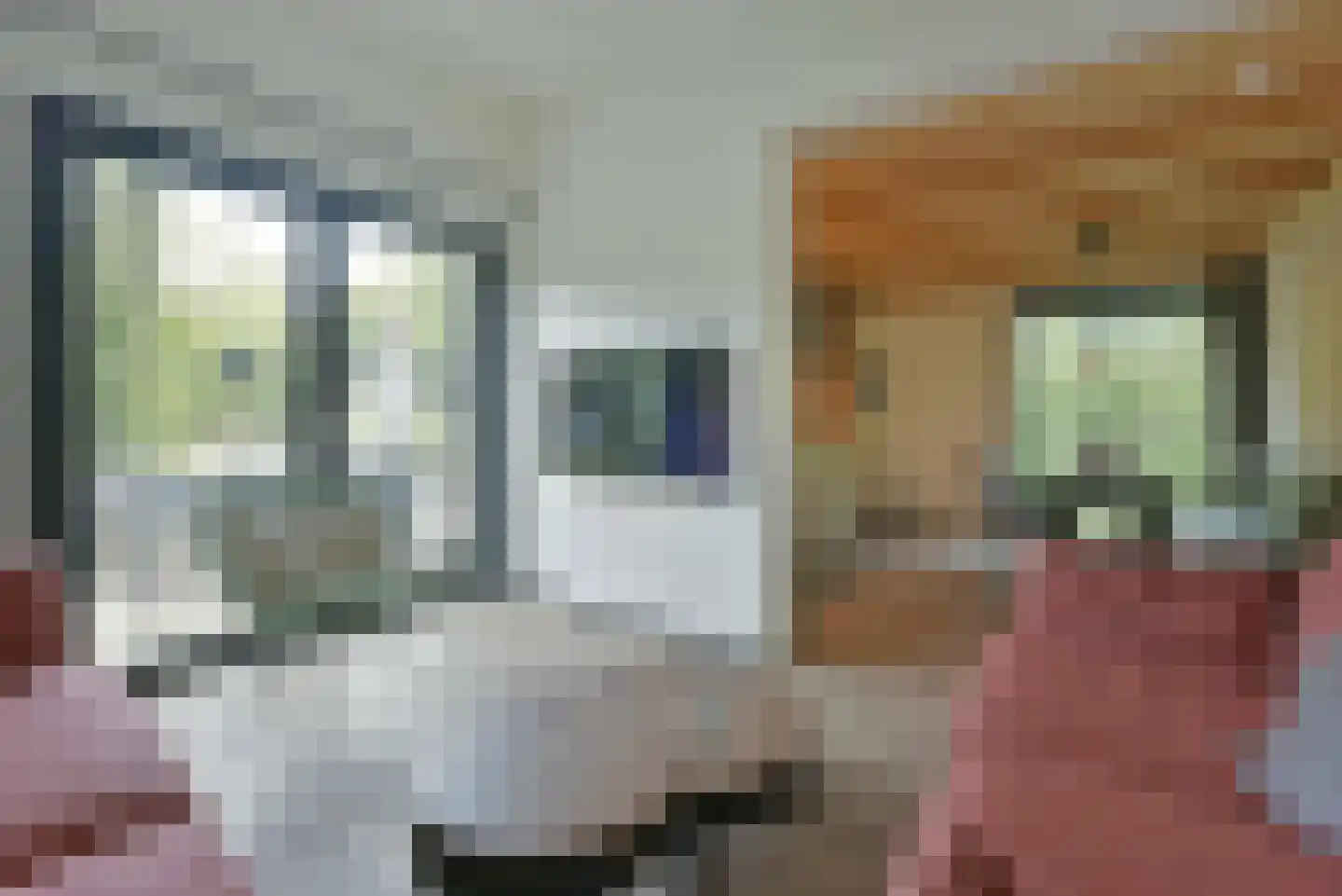 Euverem 52 52 Gulpen thumbnail 5