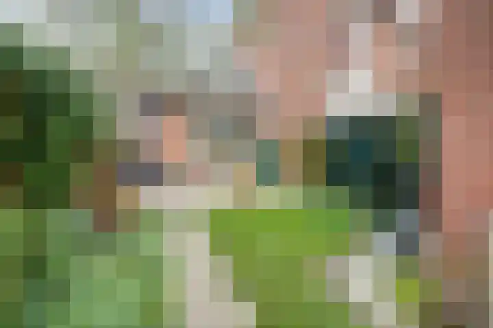 Evenaar 136 Rotterdam thumbnail 31