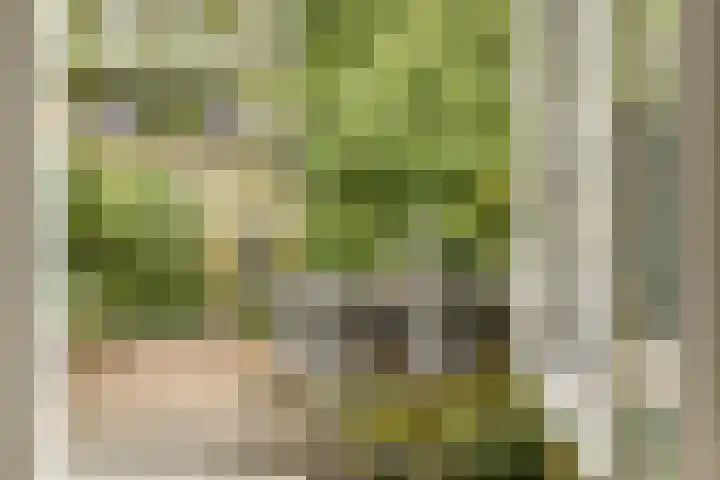 Evenaar 15 Blaricum thumbnail 25