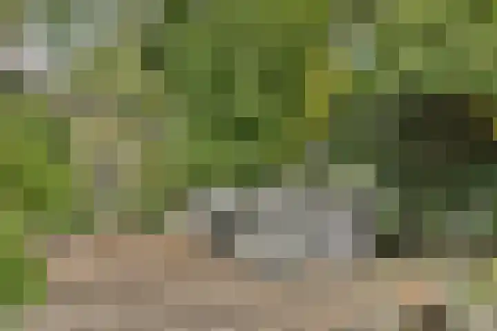 Evenaar 15 Blaricum thumbnail 26