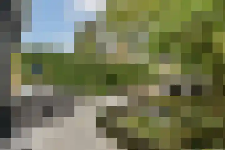 Evenaar 15 Blaricum thumbnail 28