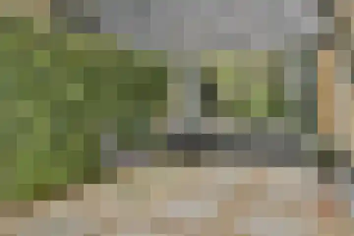 Evenaar 15 Blaricum thumbnail 30
