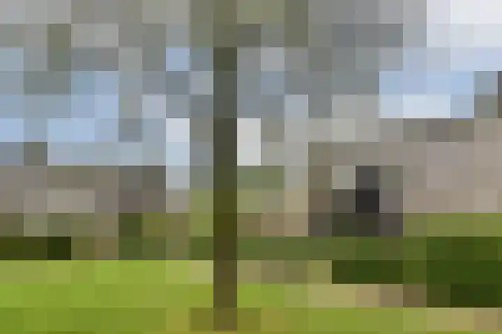Evenaar 15 Blaricum thumbnail 31