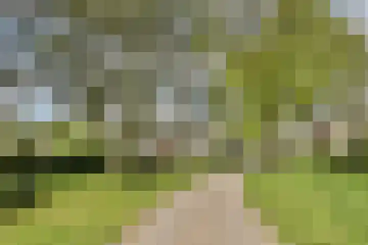 Evenaar 15 Blaricum thumbnail 33