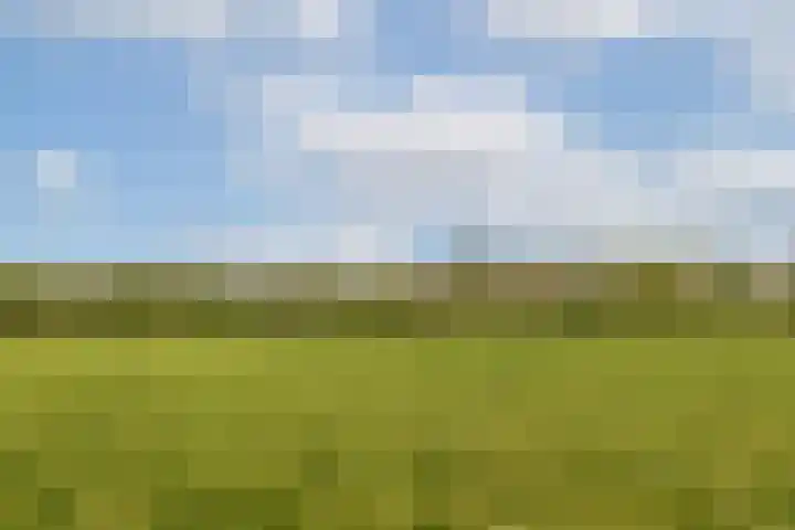 Evenaar 15 Blaricum thumbnail 34
