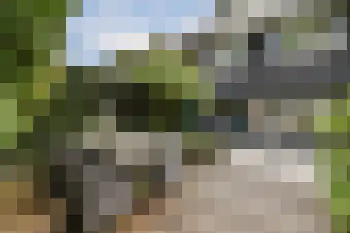 Evenaar 15 Blaricum thumbnail 35