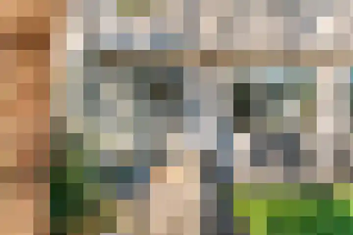 Evenaar 171 De Meern thumbnail 31