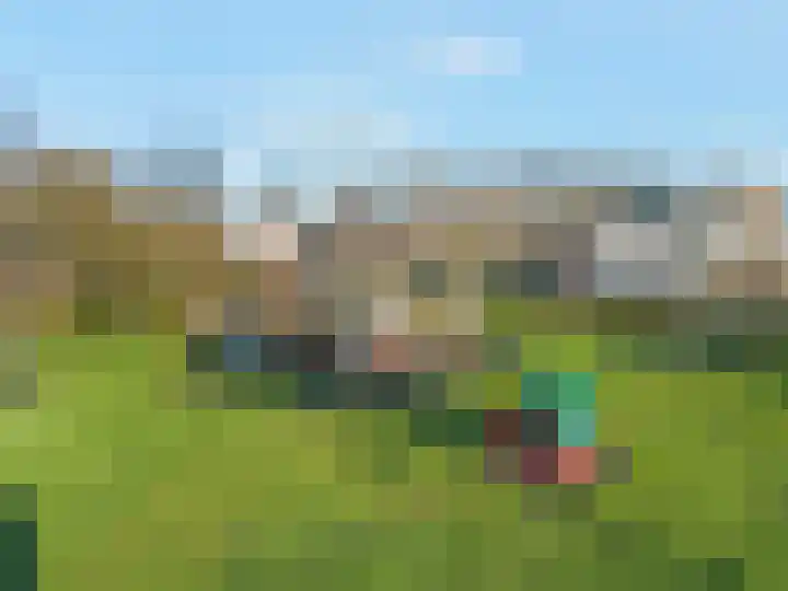 Evenaar 171 De Meern thumbnail 33