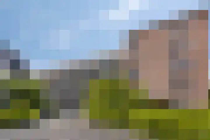 Evenaar 31 Amersfoort