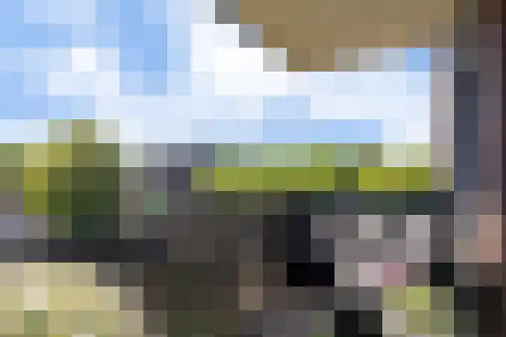 Evenaar 35 Amersfoort thumbnail 17
