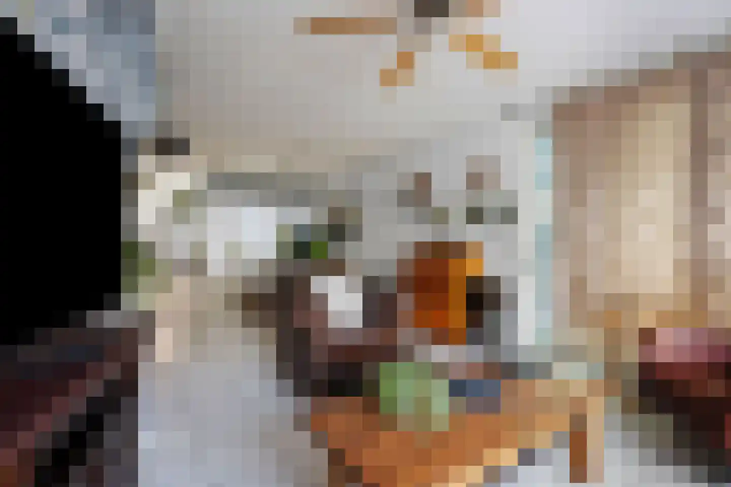 Evenaar 46 Klazienaveen thumbnail 8