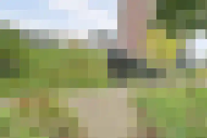 Evenaar 55 Amersfoort thumbnail 26