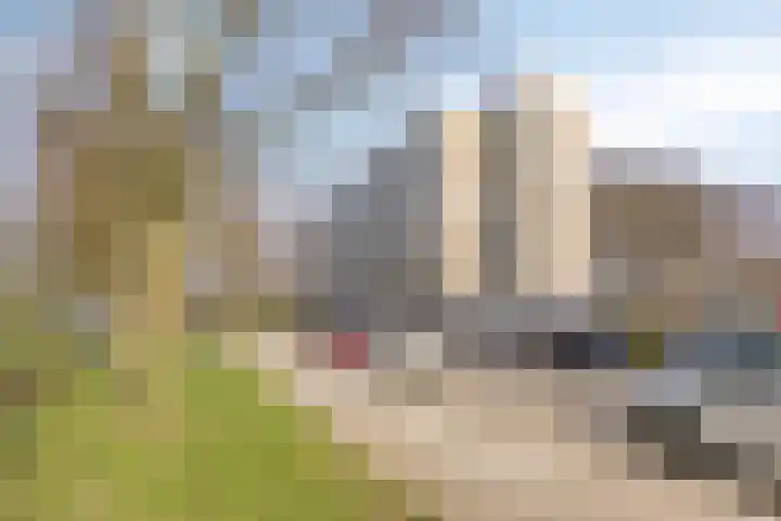 Everaertstraat 87 Rotterdam thumbnail 4