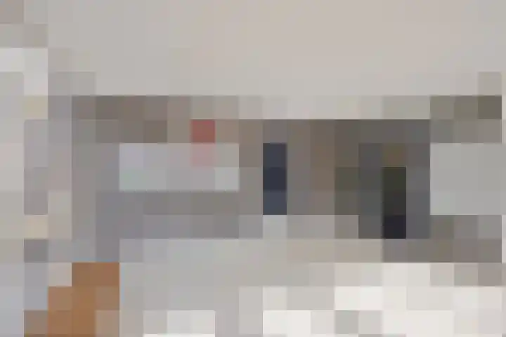 Everaertstraat 87 Rotterdam thumbnail 8