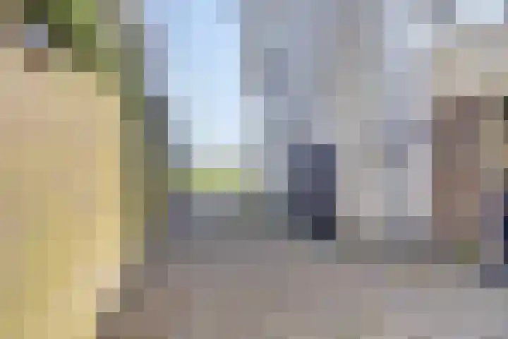 Everdineweerd 25 Katwijk NB thumbnail 34