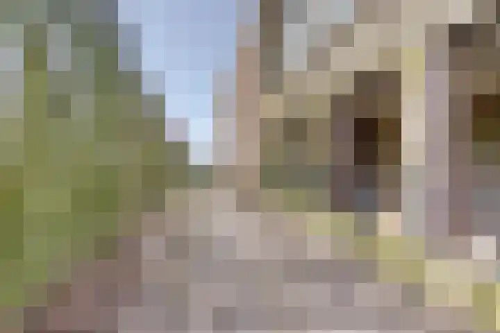 Everdineweerd 25 Katwijk NB thumbnail 45
