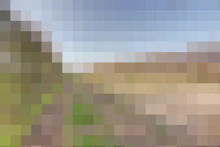 Everdineweerd 25 Katwijk NB thumbnail 47