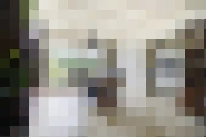 Everdonk 24 Breda thumbnail 13