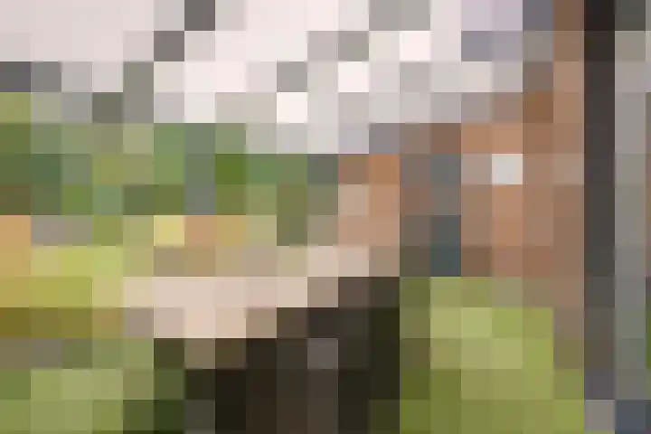 Everdonk 24 Breda thumbnail 18
