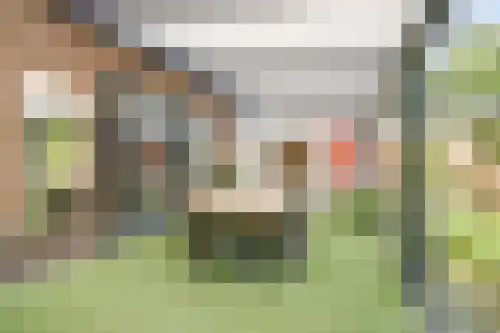 Everdonk 24 Breda thumbnail 19