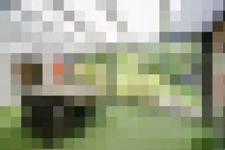 Everdonk 24 Breda thumbnail 20
