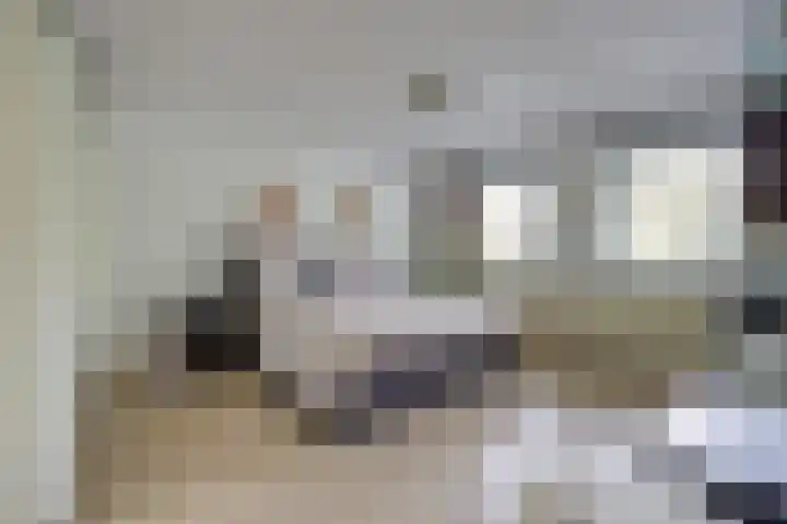 Everdonk 24 Breda thumbnail 22