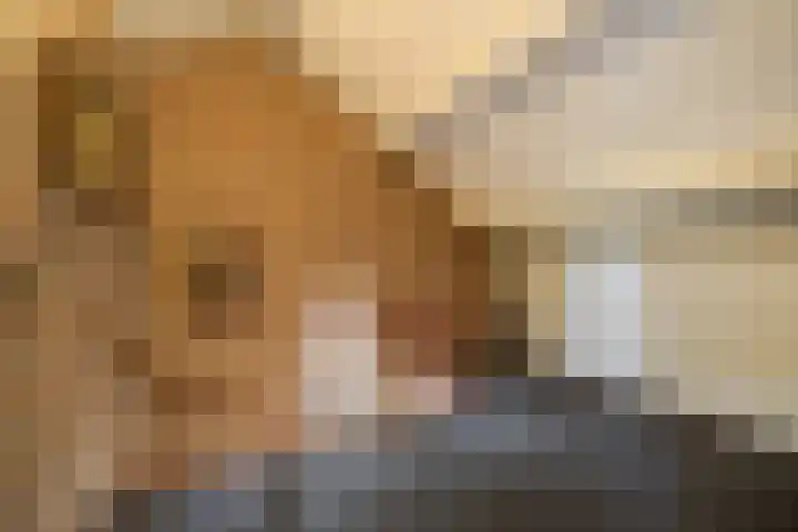 Everdonk 24 Breda thumbnail 32