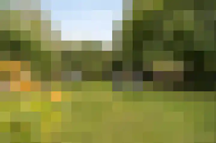 Everdonk 24 Breda thumbnail 35