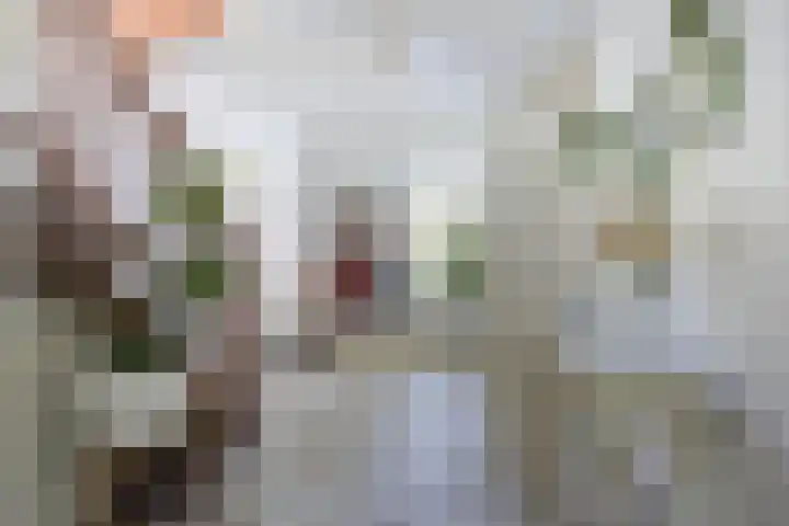 Everdonk 24 Breda thumbnail 8