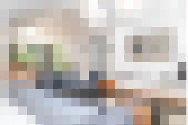 Everdrift 36 Cuijk thumbnail 22
