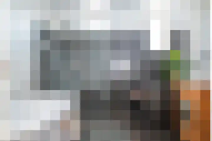 Everdrift 36 Cuijk thumbnail 33