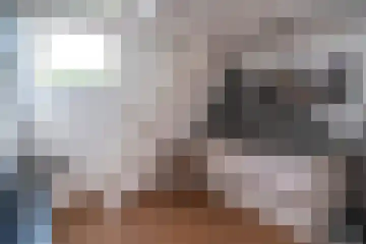 Everdrift 36 Cuijk thumbnail 37