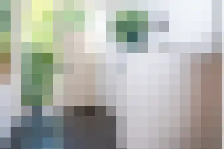 Everdrift 36 Cuijk thumbnail 40