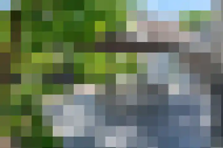 Everdrift 36 Cuijk thumbnail 48