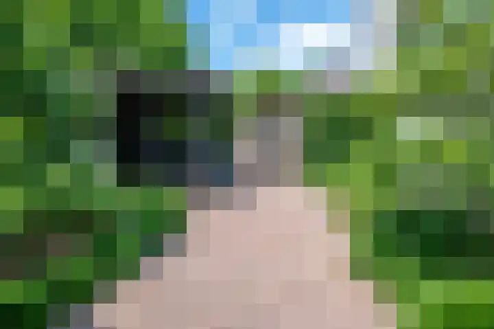 Everdrift 36 Cuijk thumbnail 50