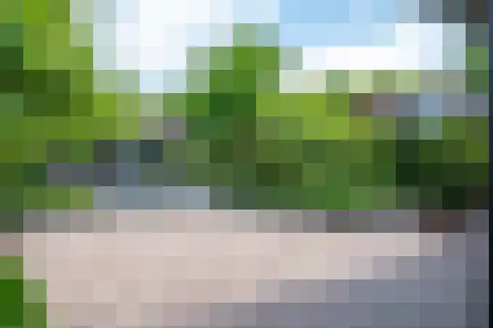 Everdrift 36 Cuijk thumbnail 52