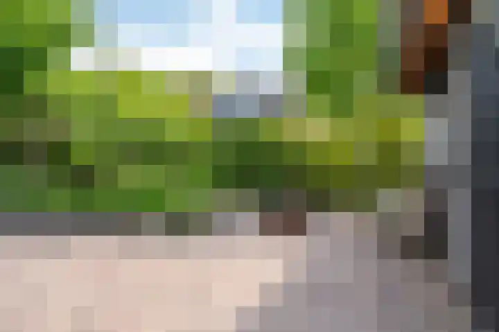 Everdrift 36 Cuijk thumbnail 53