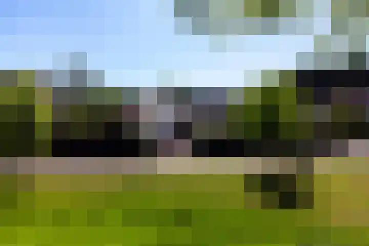 Everdrift 36 Cuijk thumbnail 59