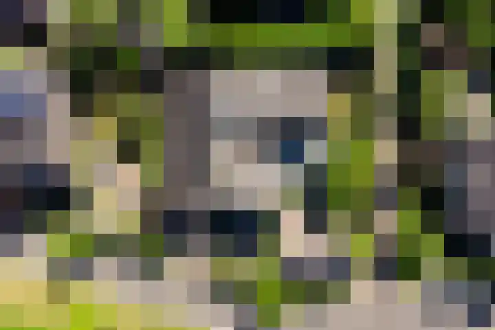 Everdrift 36 Cuijk thumbnail 64