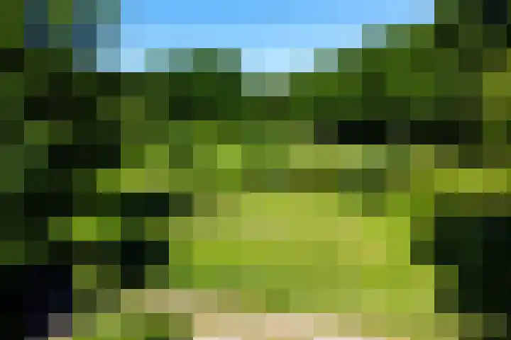 Everdrift 36 Cuijk thumbnail 66